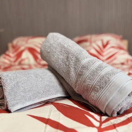 Le Cocon Alsacien Au Coeur De