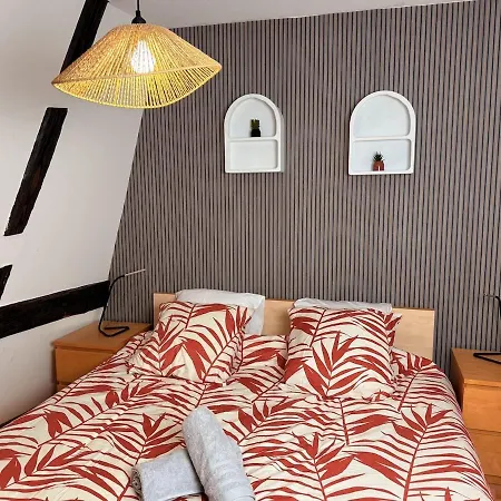 Le Cocon Alsacien Au Coeur De