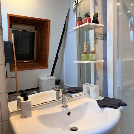 公寓 Le Cocon Alsacien Au Coeur De *