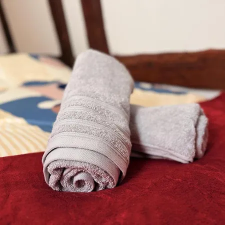 Le Cocon Alsacien Au Coeur De *