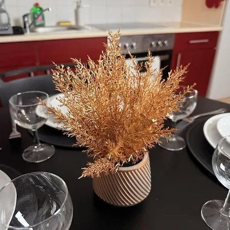 Le Cocon Alsacien Au Coeur De * Rouffach