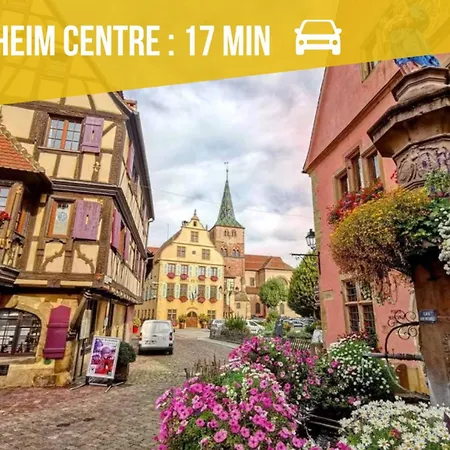 Apartamento Le Cocon Alsacien Au Coeur De
