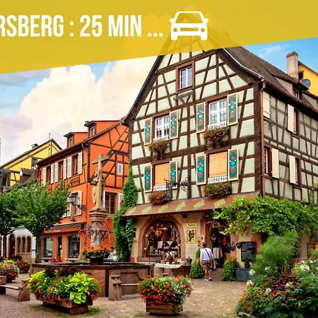 Le Cocon Alsacien Au Coeur De Apartamento *