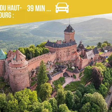 Le Cocon Alsacien Au Coeur De * Rouffach