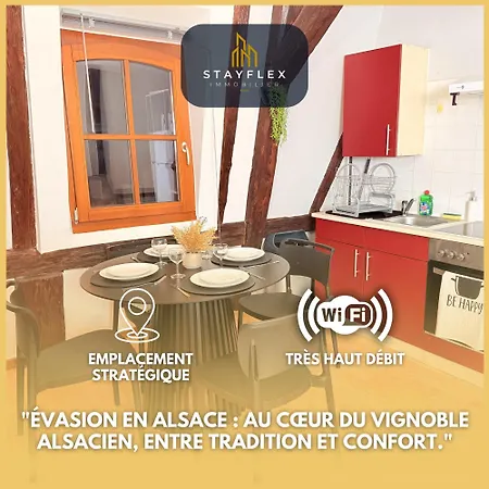 Le Cocon Alsacien Au Coeur De * 鲁法克