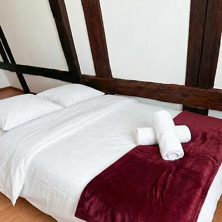 Le Cocon Alsacien Au Coeur De *