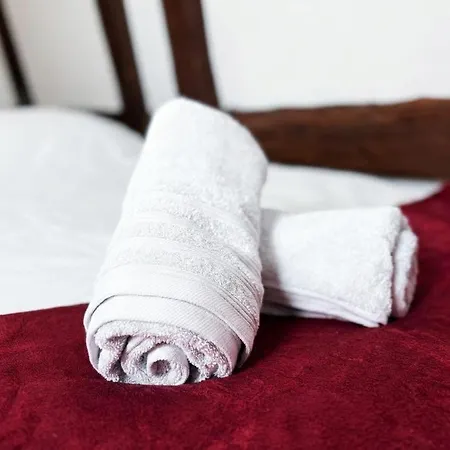 Le Cocon Alsacien Au Coeur De * 鲁法克