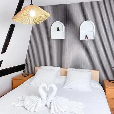 Le Cocon Alsacien Au Coeur De 公寓