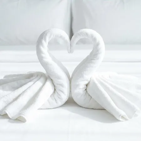 Le Cocon Alsacien Au Coeur De