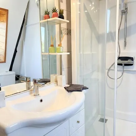 Le Cocon Alsacien Au Coeur De 公寓