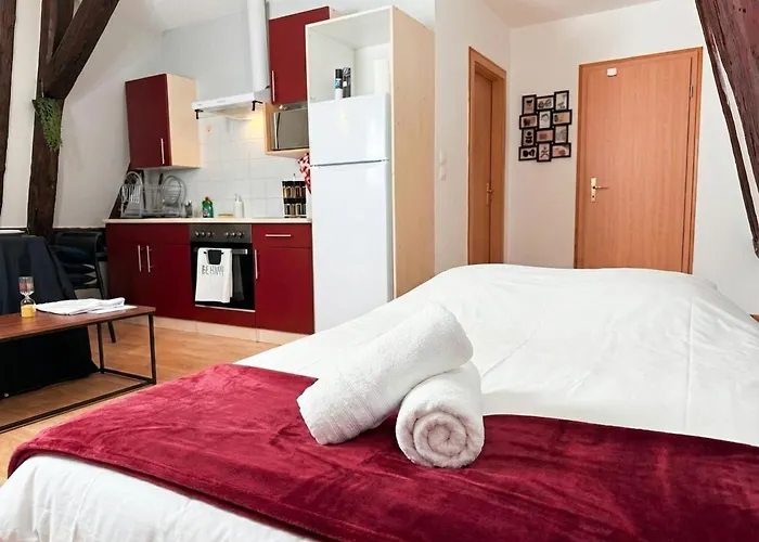 Le Cocon Alsacien Au Coeur De Appartement *