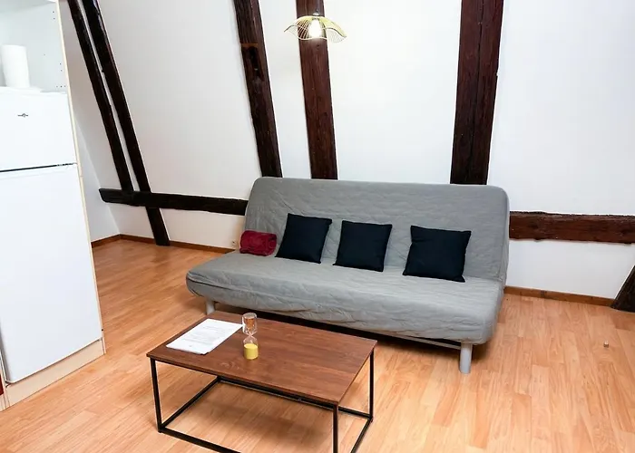 Le Cocon Alsacien Au Coeur De Appartement